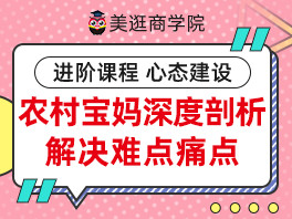 深度剖析解决难点痛点——农村宝妈月入过万的故事